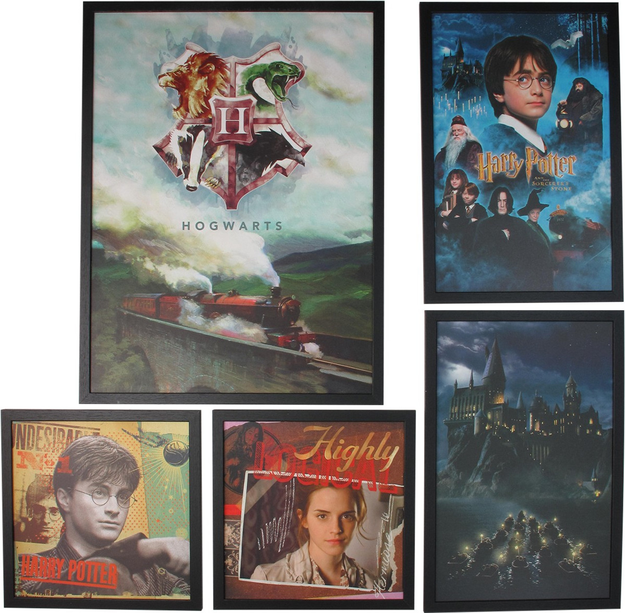 Harry Potter Framed Paintings