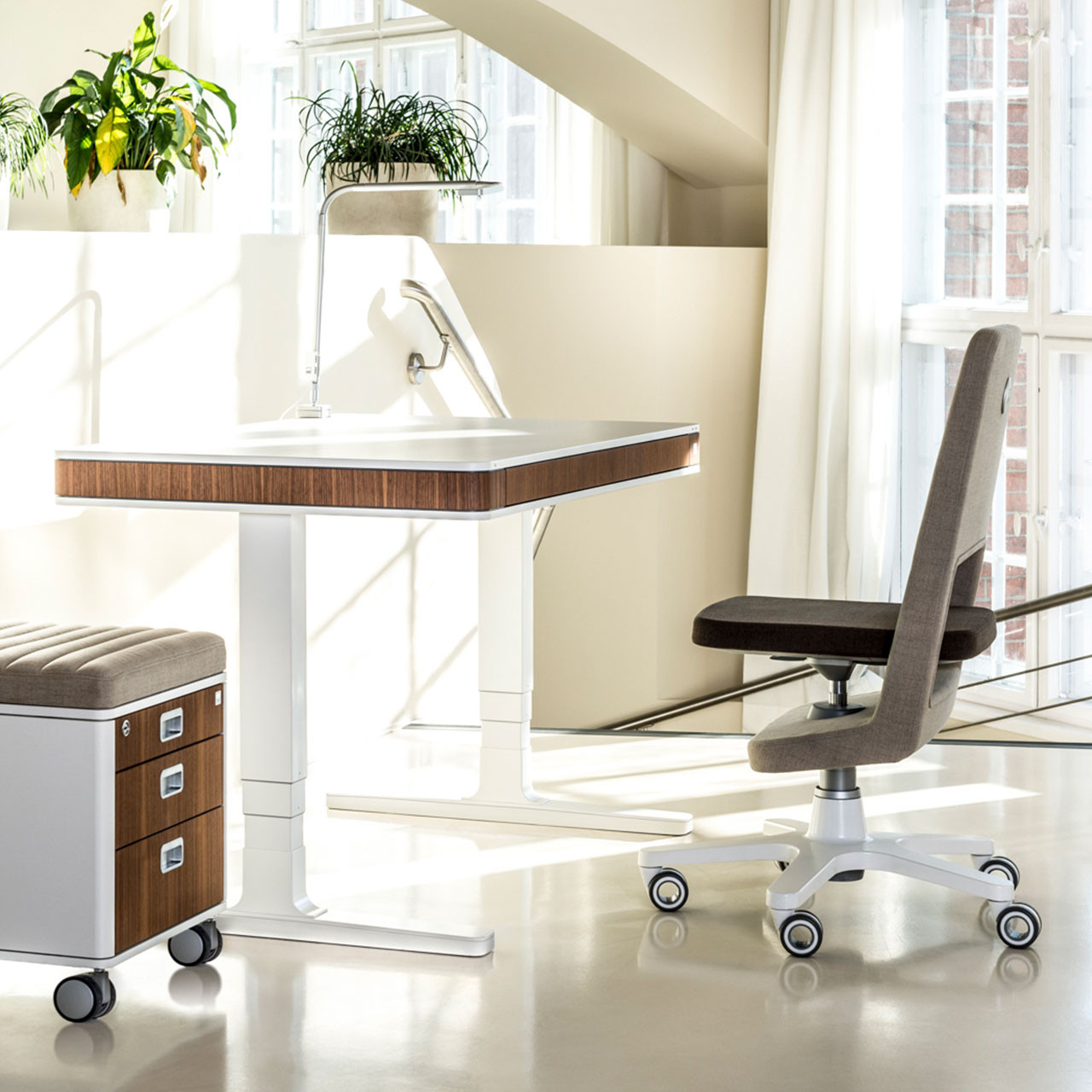 moll T7 Desk