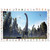 moll Blotting Pad for Desktop Surface, Dinosuars