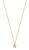 ZABLE 14k Gold Plated Starter Lariat Necklace