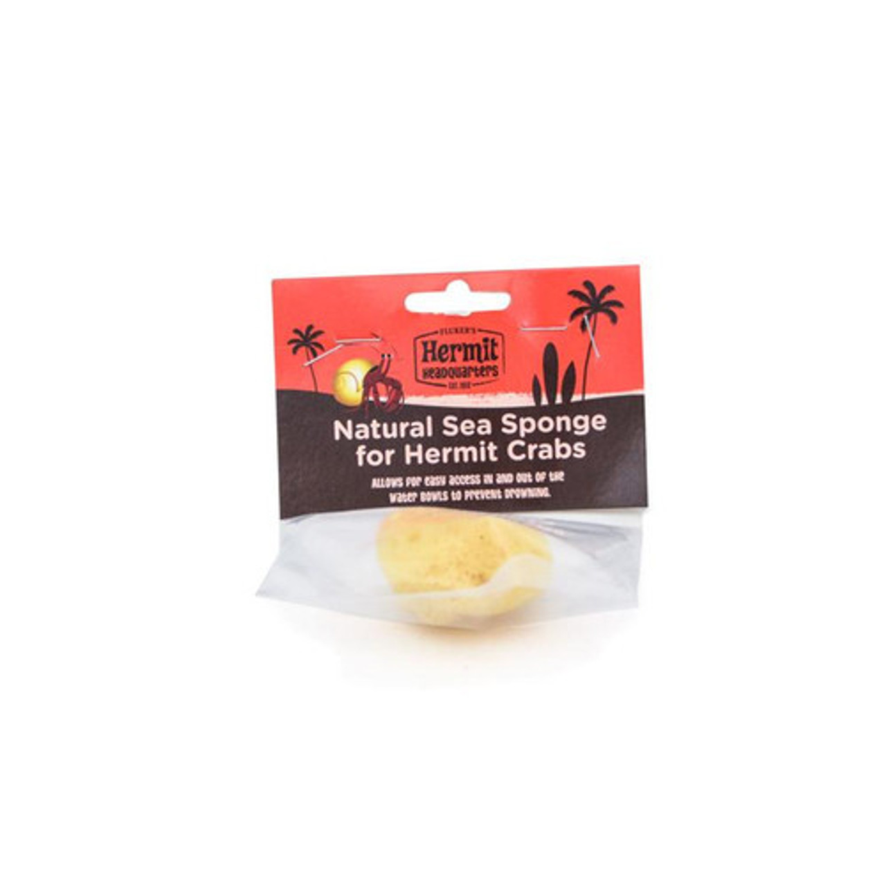 Flukers Natural Sea Sponge for Hermit Crabs — Jungle Bobs Reptile World