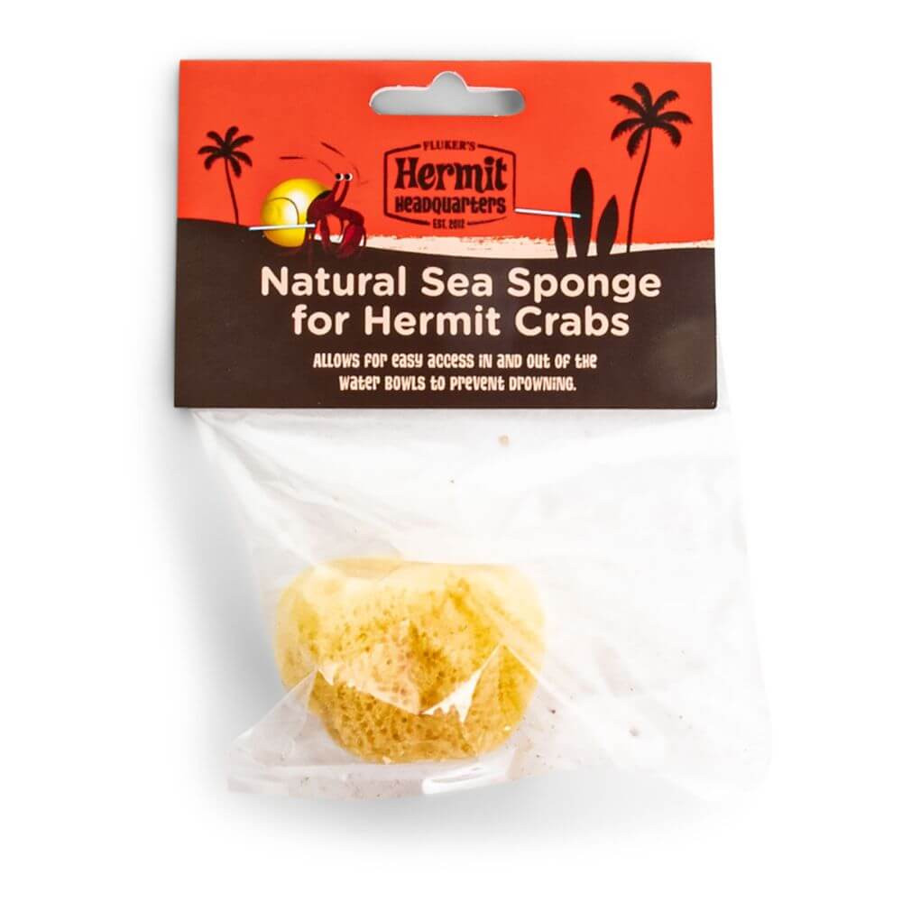 Natural Sea Sponge for Hermit Crabs (1 per pack) Front