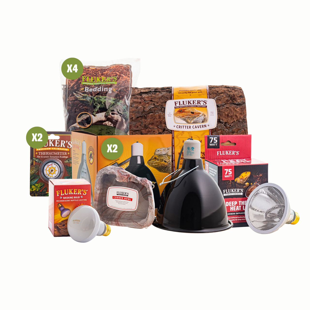 Reptileさんご依頼分 60枚 FRIENDS DVD BOX 正規品 Bearded Dragon Starter Kit