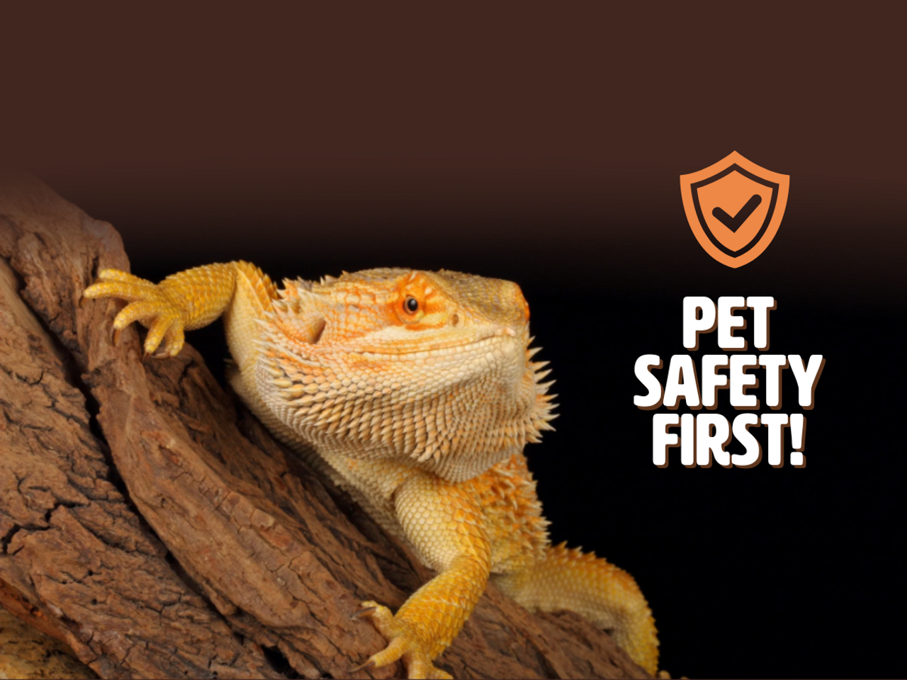 Reptile Preparedness Kit 