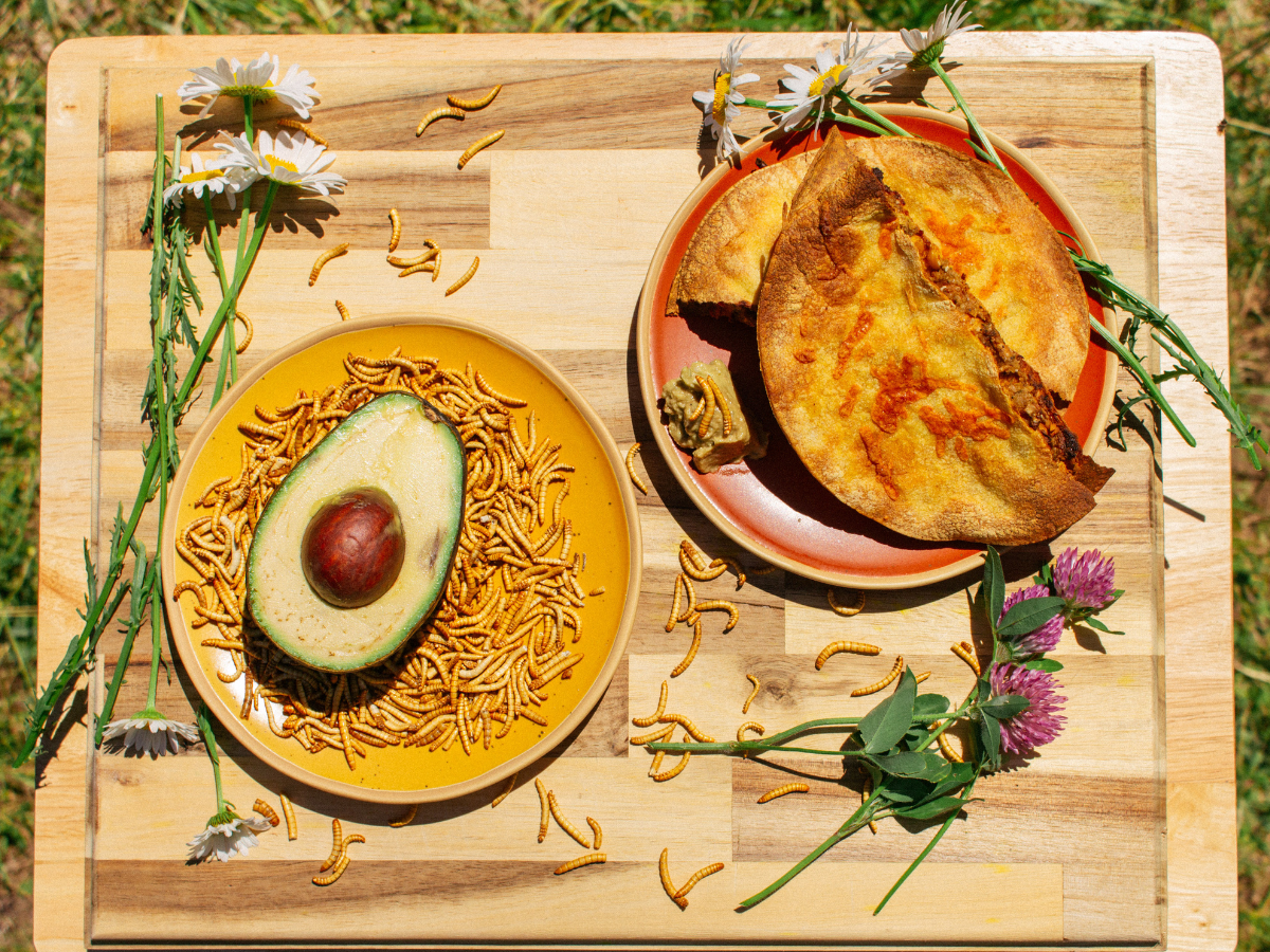 Crispy Chickpea & Mealworm Tacos with Vegan Avocado Caesar 