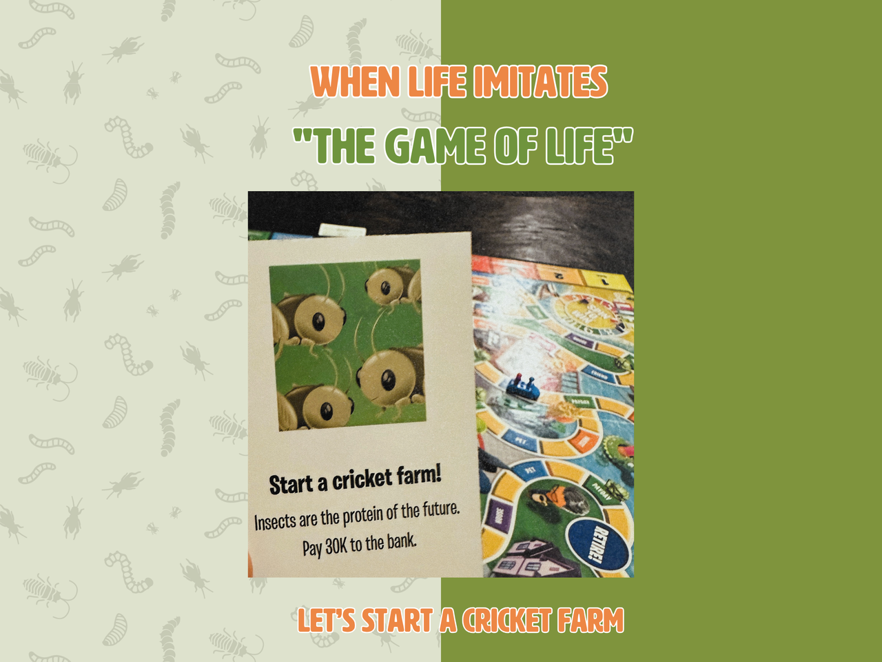 When Life Imitates "The Game of Life": An Open Invitation to Hasbro