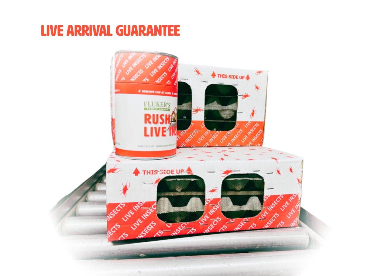 Fluker’s Live Arrival Guarantee: What It Means for Your Feeders