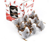 Save More When You Buy In Bulk Fluker S Cricket Farm