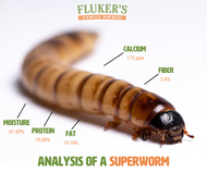 Fluker Farms - Order Live Crickets, Mealworms, Superworms