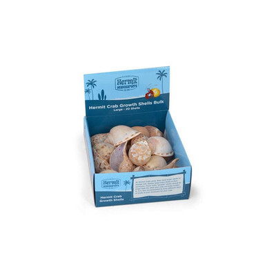 HERMIT CRAB SHELL MERCHANDISER BOX