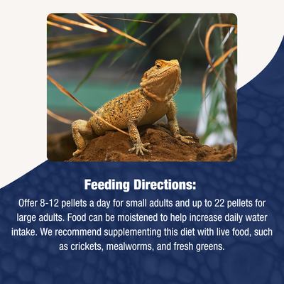 Buffet Blend Juvenile Bearded Dragon Formula