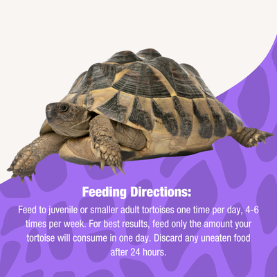 Tortoise Diet Large Pellet