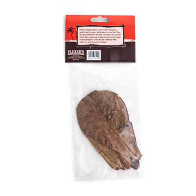 Catappa Leaves for Hermit Crabs (5 per pack) Back
