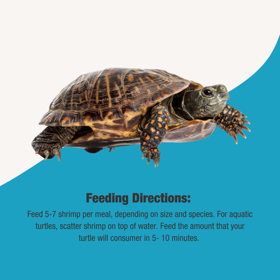 GRUB BAG TURTLE TREAT FEEDING DIRECTION