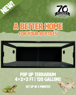 Pop Up Terrarium
 4×2×2 ft | 120 Gallons , Set Up in 5 Minutes