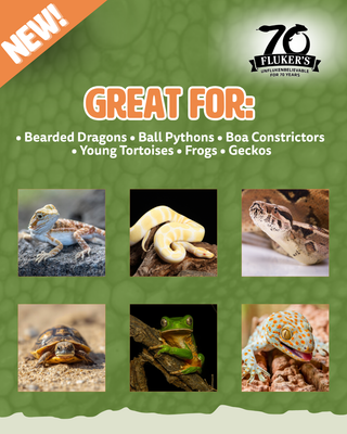 Great for animals: Bearded Dragons • Ball Pythons • Boa Constrictors 
• Young Tortoises • Frogs • Geckos