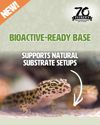 Bioactive-Ready Base, Supports natural substrate setups