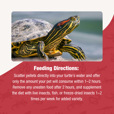Crafted Cuisine Aquatic Turtle Diet  6.75oz