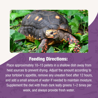 Crafted Cuisine Tortoise Diet 6.75oz