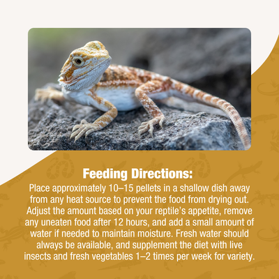 Crafted Cuisine Juvenile Bearded Dragon Diet 6.75  oz
