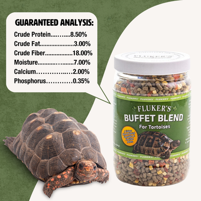 Tortoise Buffet Blend 12.5oz