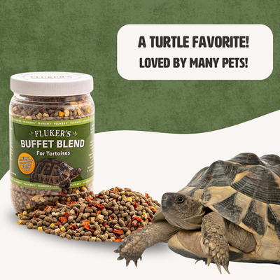 Tortoise Buffet Blend 12.5oz