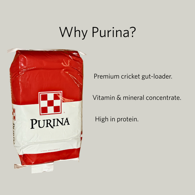 Purina Cricket Diet