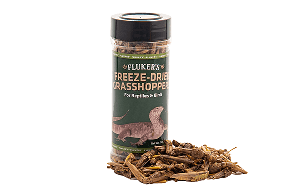 Freeze-Dried Grasshoppers