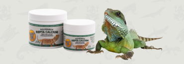 Boost Your Reptile's Health 