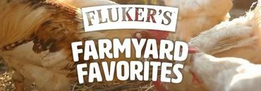 Introducing Farmyard Favorites