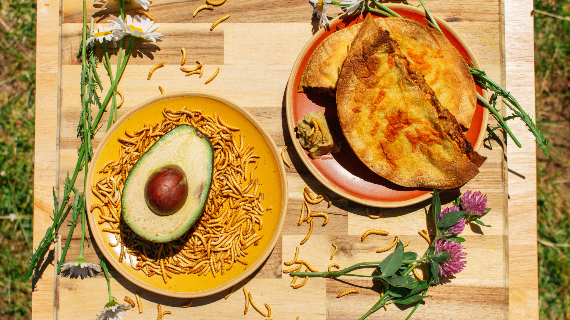 Crispy Chickpea & Mealworm Tacos with Vegan Avocado Caesar