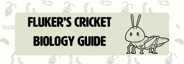 Fluker's Cricket Biology Guide