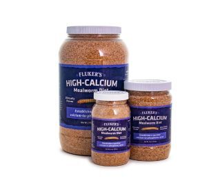 HIGH CALCIUM MEALWORM DIET