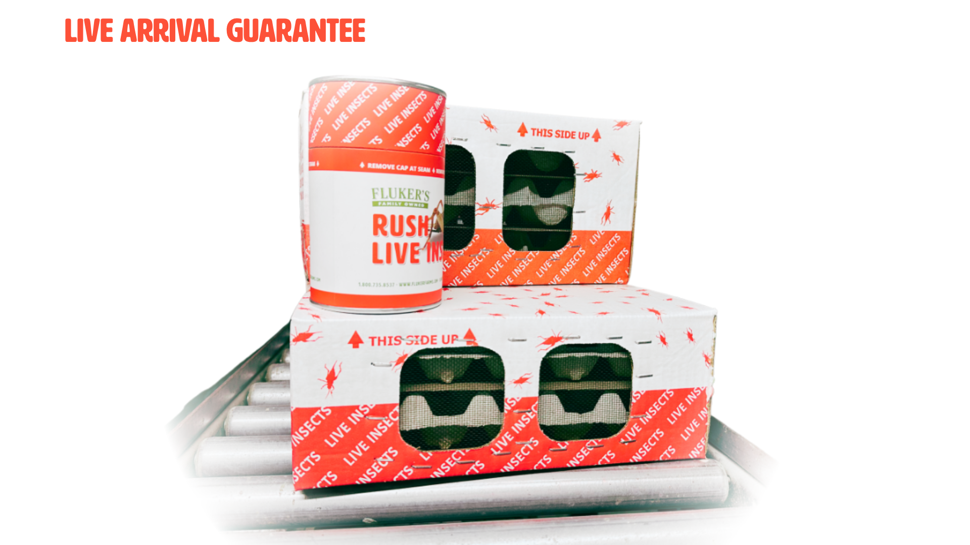 Fluker’s Live Arrival Guarantee: What It Means for Your Feeders