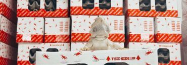 ​Fluker’s Shipping Policy and Live Guarantee