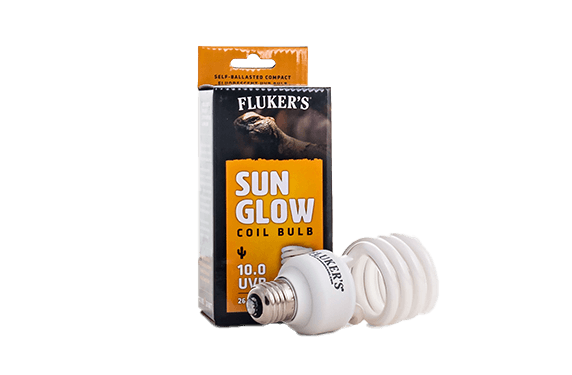 Sun Glow Coil Bulb Desert