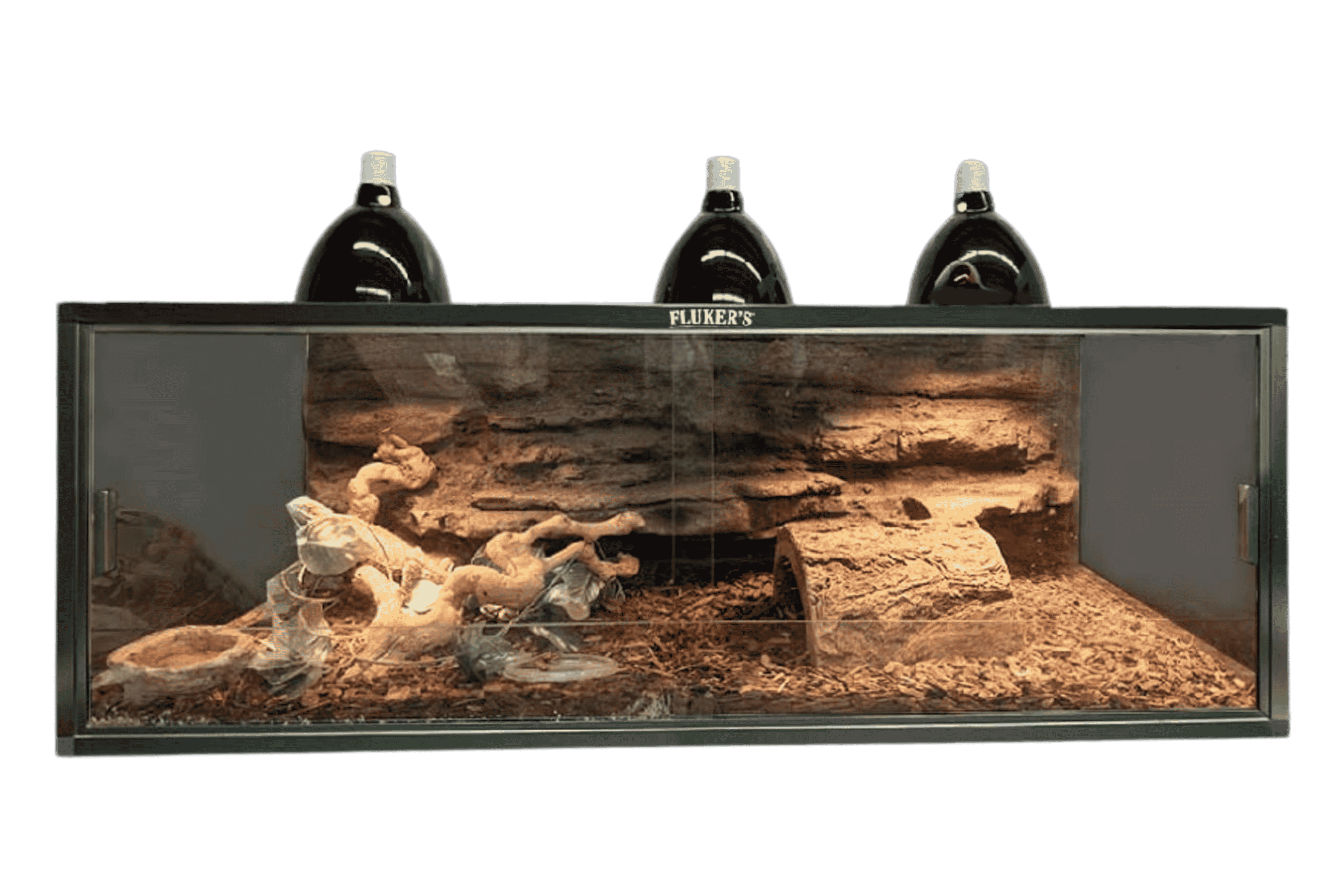Terrarium Slide