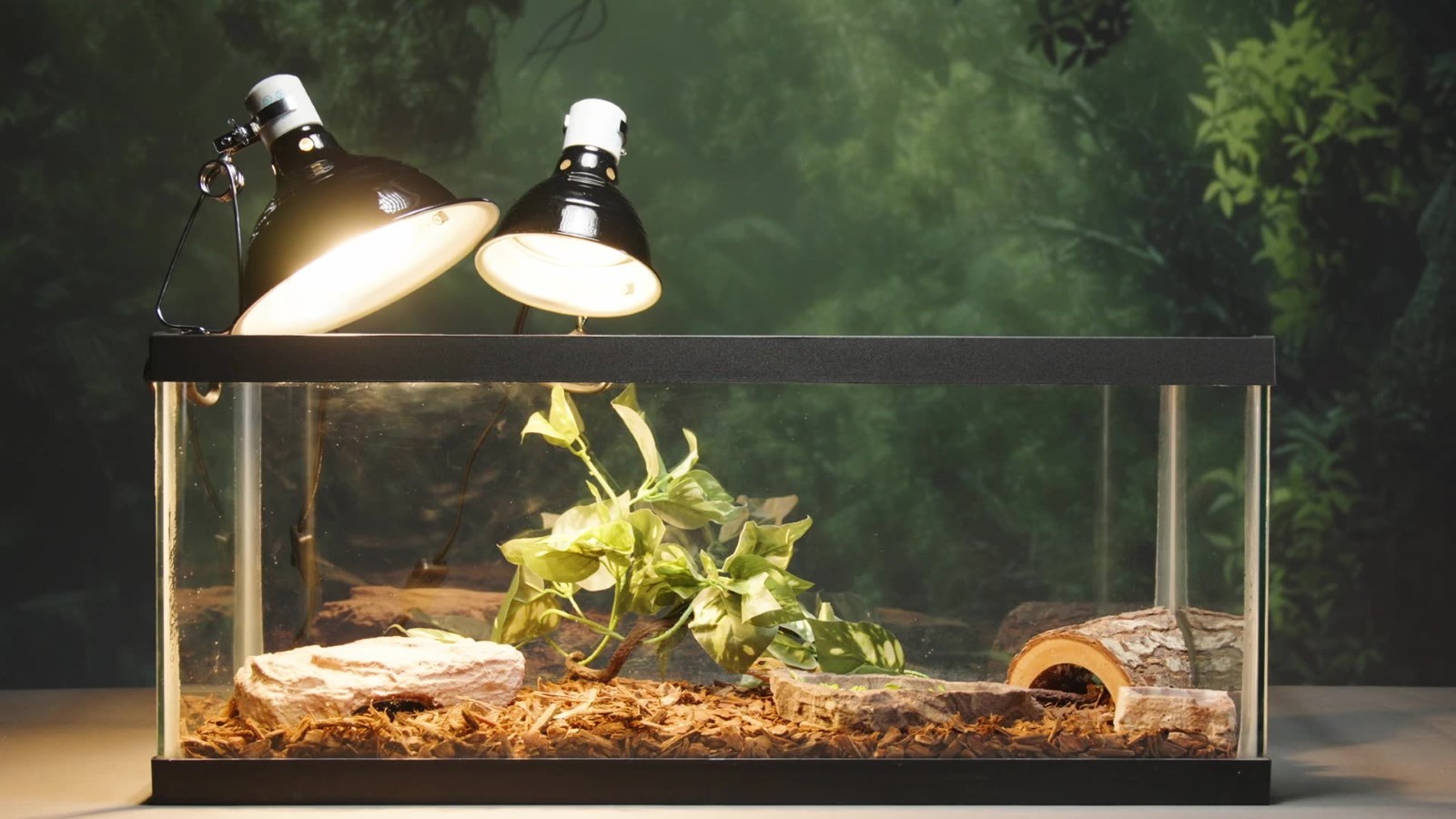 Terrarium Lighting- Fluker's Reta Clamp Lamp And Deep Dome Lamp 