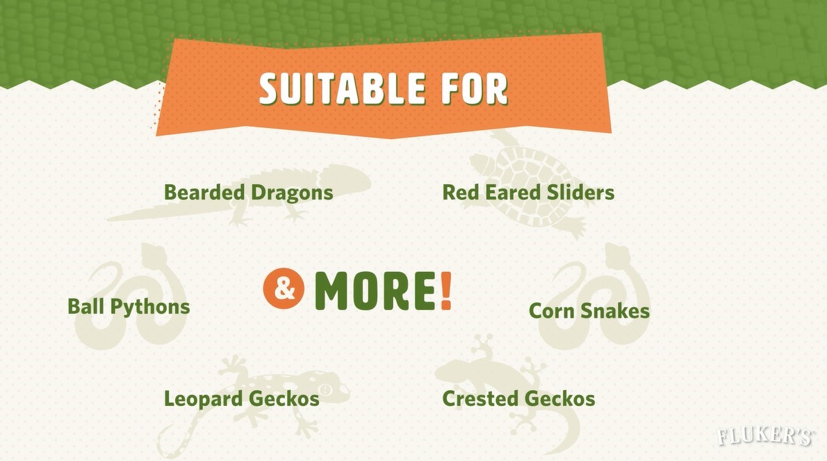 Image showing all different animals that can benefit from Fluker's deep dome lamp: bearded dragons, leopard geckos, crested geckos, corn snakes, and more