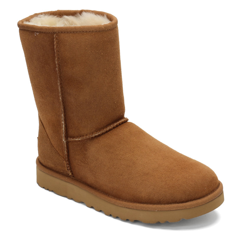 chestnut uggs