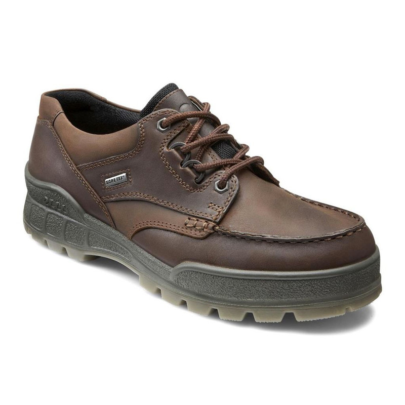 ecco men's track ii