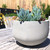 Urbanstyle Bowl Planter