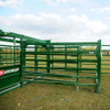 A common pain point expressed by cattle producers is the challenge of getting cattle to move effectively through their portable cattle corral, and this is where the Heeler shines. The standard Bud Box and rolling gates allow you to control the movement of cattle as they move from the front and flow toward the back, exiting through the double alley. Providing cattle with a clear path is important, and makes all the difference when it comes to efficiency and flow.

