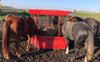 HANGING BALE FEEDER