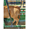 Q-POWER 107 SERIES CATTLE CHUTE