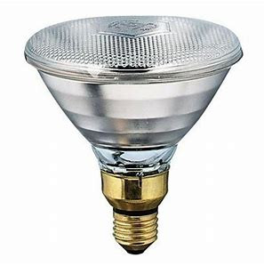 HEAT BULB HEAT-MASTER (B0X OF 24)