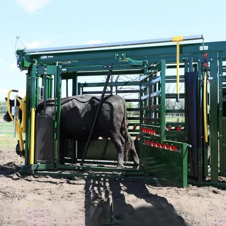 Q-CATCH 87 SERIES CATTLE SQUEEZE CHUTE