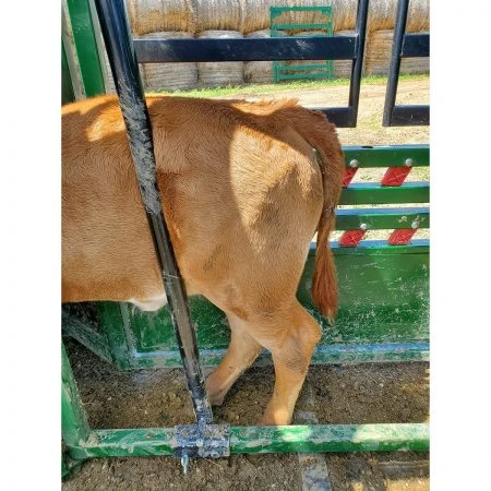 Q-CATCH 87 SERIES CATTLE SQUEEZE CHUTE