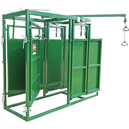 CATTLE SORTING ALLEY