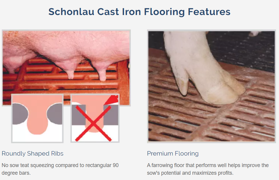 Schonlau Cast Iron Flooring